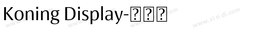 Koning Display字体转换
